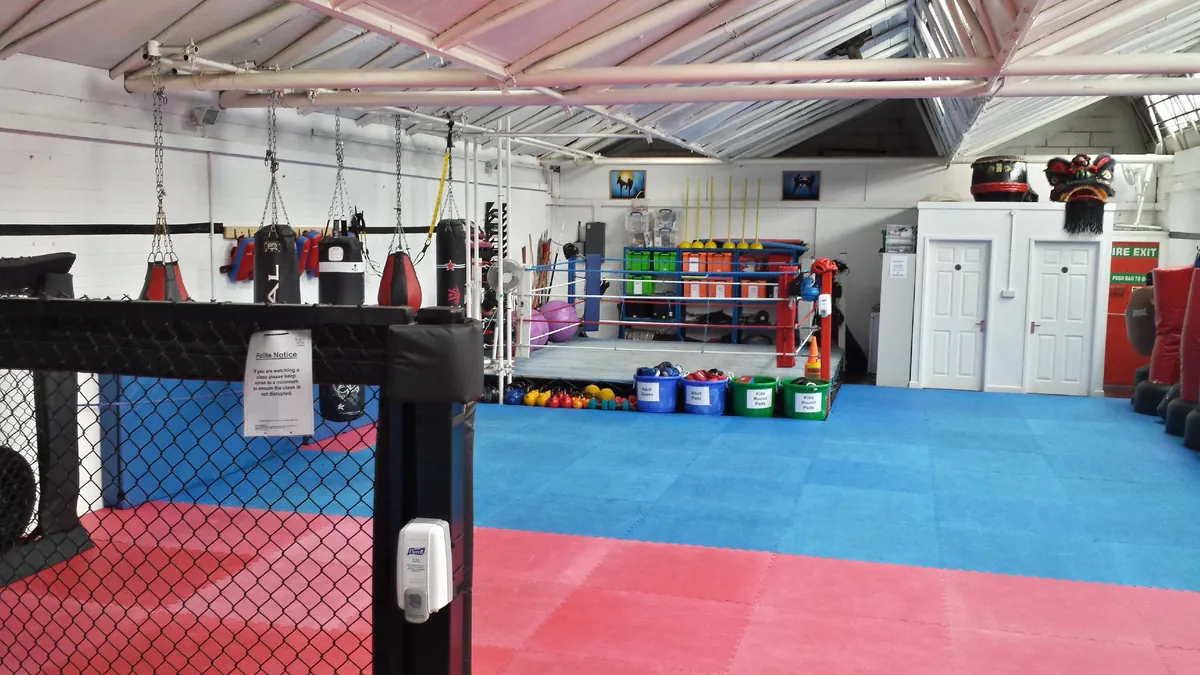 Modern interior of 5 Elements Gym in Basildon showing professional fitness equipment and treatment areas
